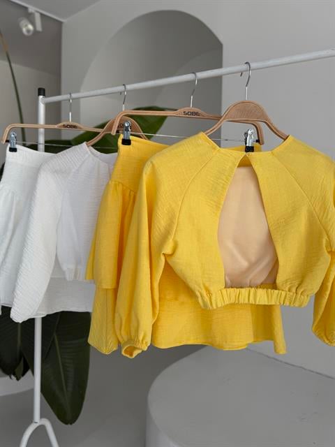 Crop Bluz ve Kat Kat Etekli Takım 10207
