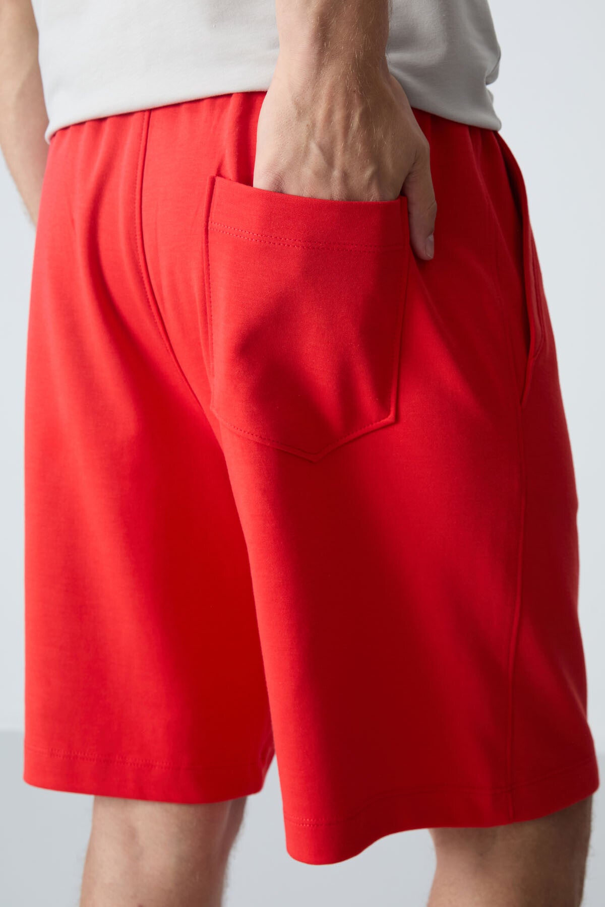 Fiesta Pamuklu Kalın Yumuşak Dokulu Standart Fit Basic Erkek Şort  - 81275