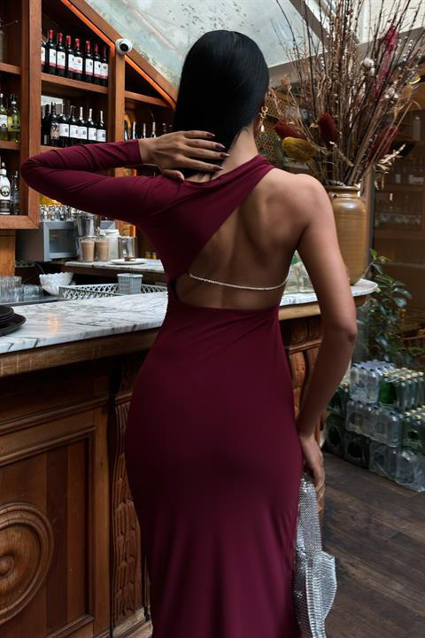 Sırt Zincir ve Dekolteli Şık Elbise 2834