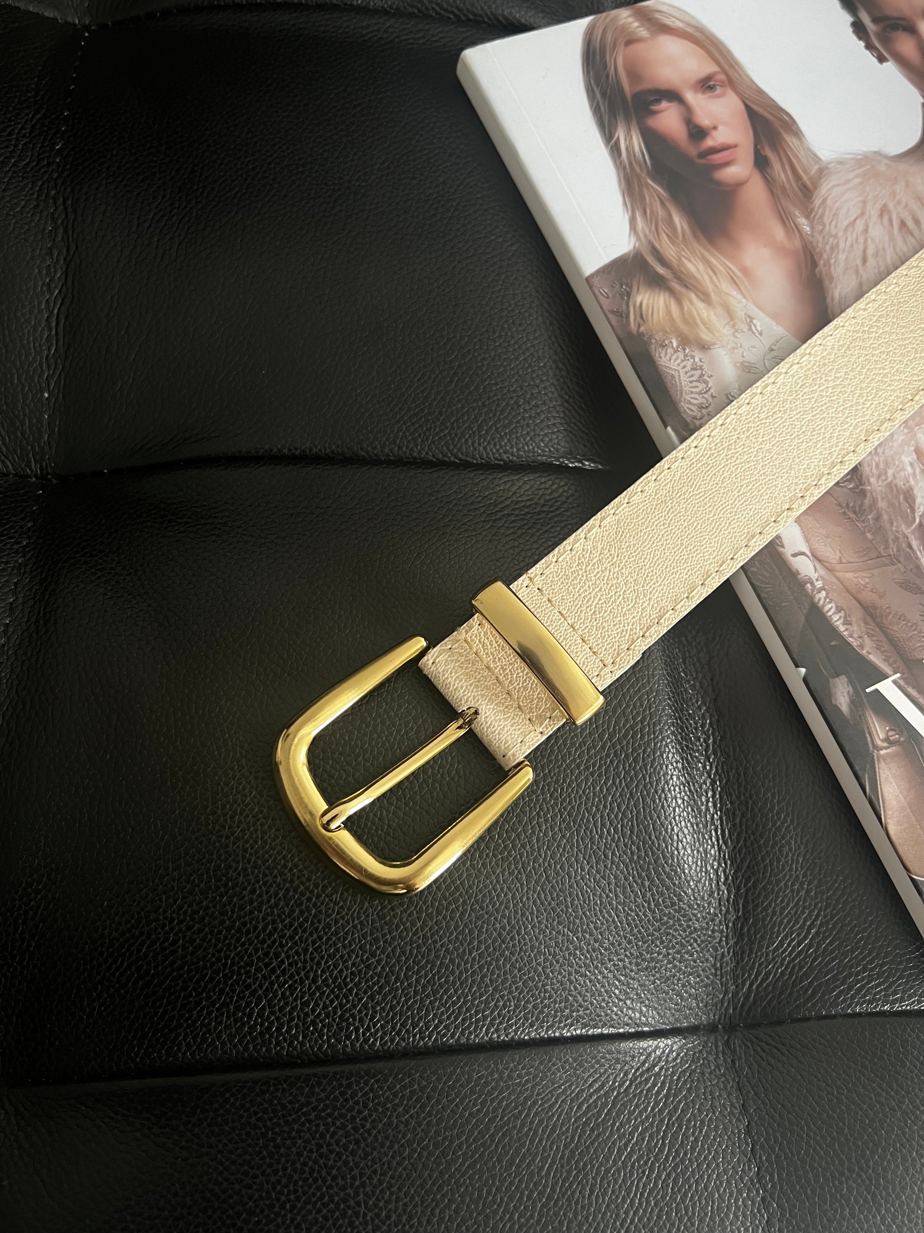 Gold Buckle Gold Bridge Belt