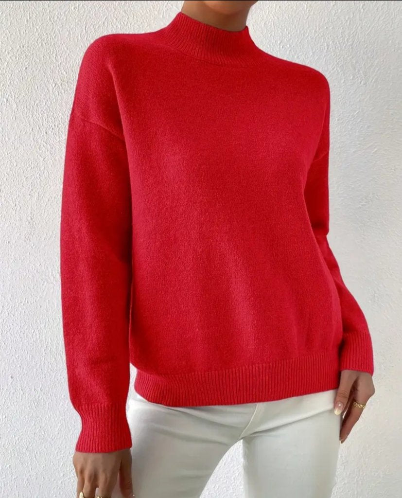 Women's Long Sleeve Turtleneck Knit Blouse, 29722