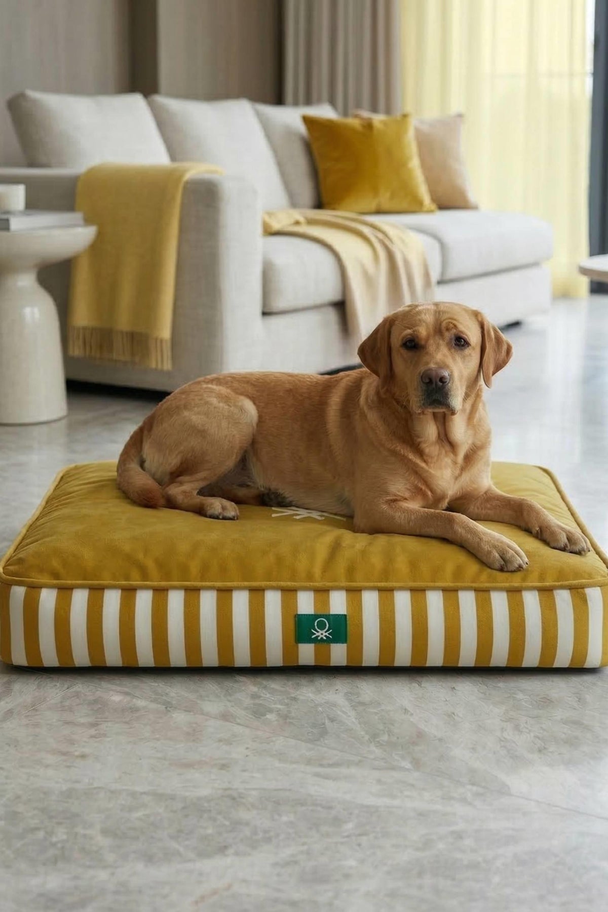 BNT-B2504-D Kedi & Köpek Yatağı  Sarı Çizgili 100 x70cm
