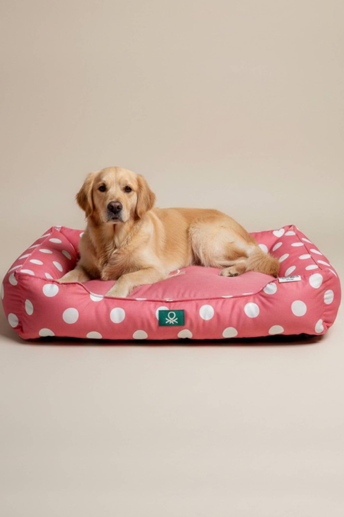 BNT-B2511-A Kedi & Köpek Yatağı  PUANTİYELİ PEMBE 60x40 cm