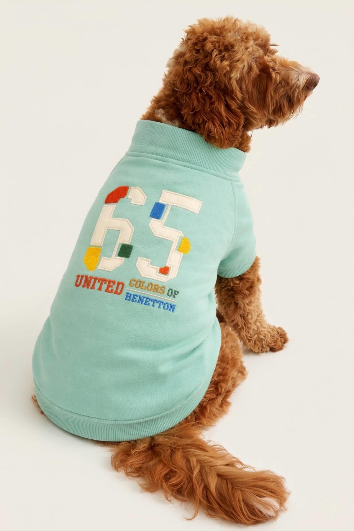 BNT-S2507 Sweatshirt Turkuaz
