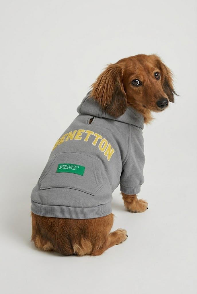 BNT-S2508 Kapişonlu Sweatshirt GRİ