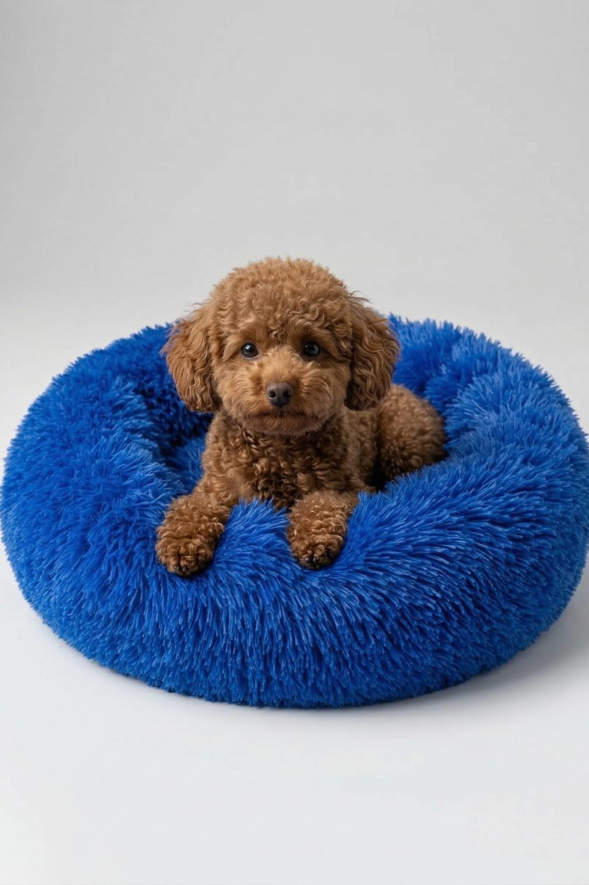 BNTMKT-0012-2-BL Uzun Kürklü Donut Kedi&Köpek Yatağı Mavi 55 CM