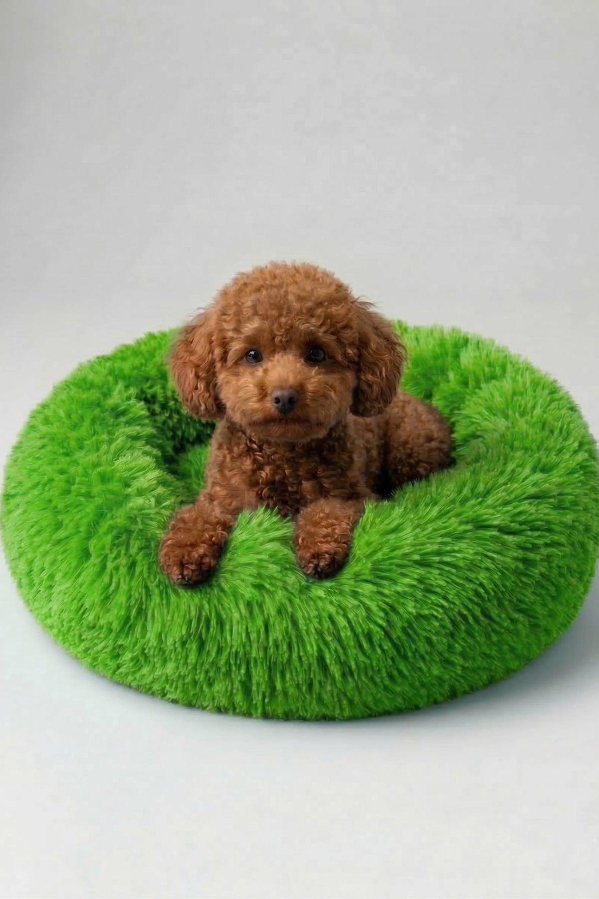 BNTMKT-0012-2-GR Uzun Kürklü Donut Kedi&Köpek Yatağı Yeşil 55 CM