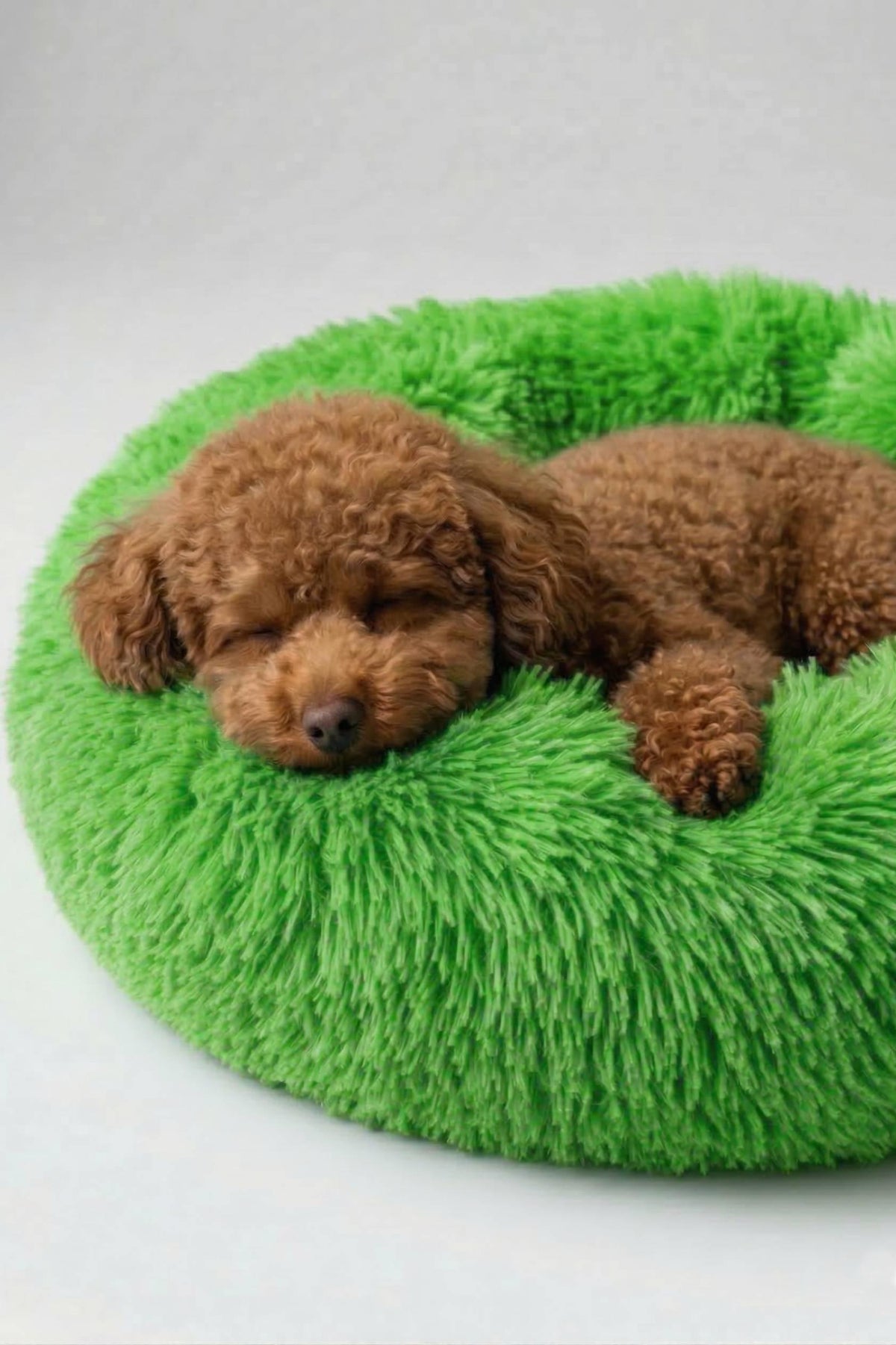 BNTMKT-0012-2-GR Uzun Kürklü Donut Kedi&Köpek Yatağı Yeşil 55 CM