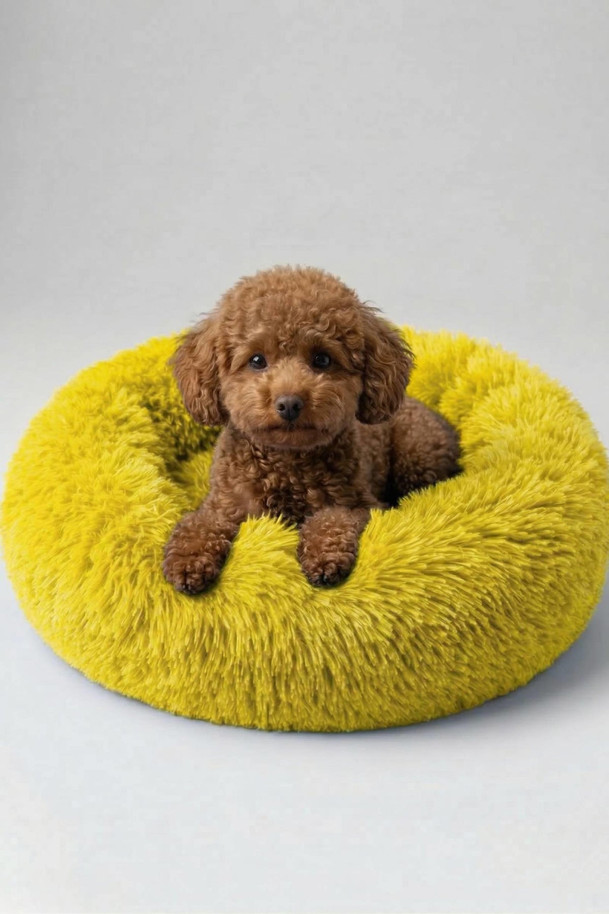BNTMKT-0012-2-YE Uzun Kürklü Donut Kedi&Köpek Yatağı SARI 55 CM