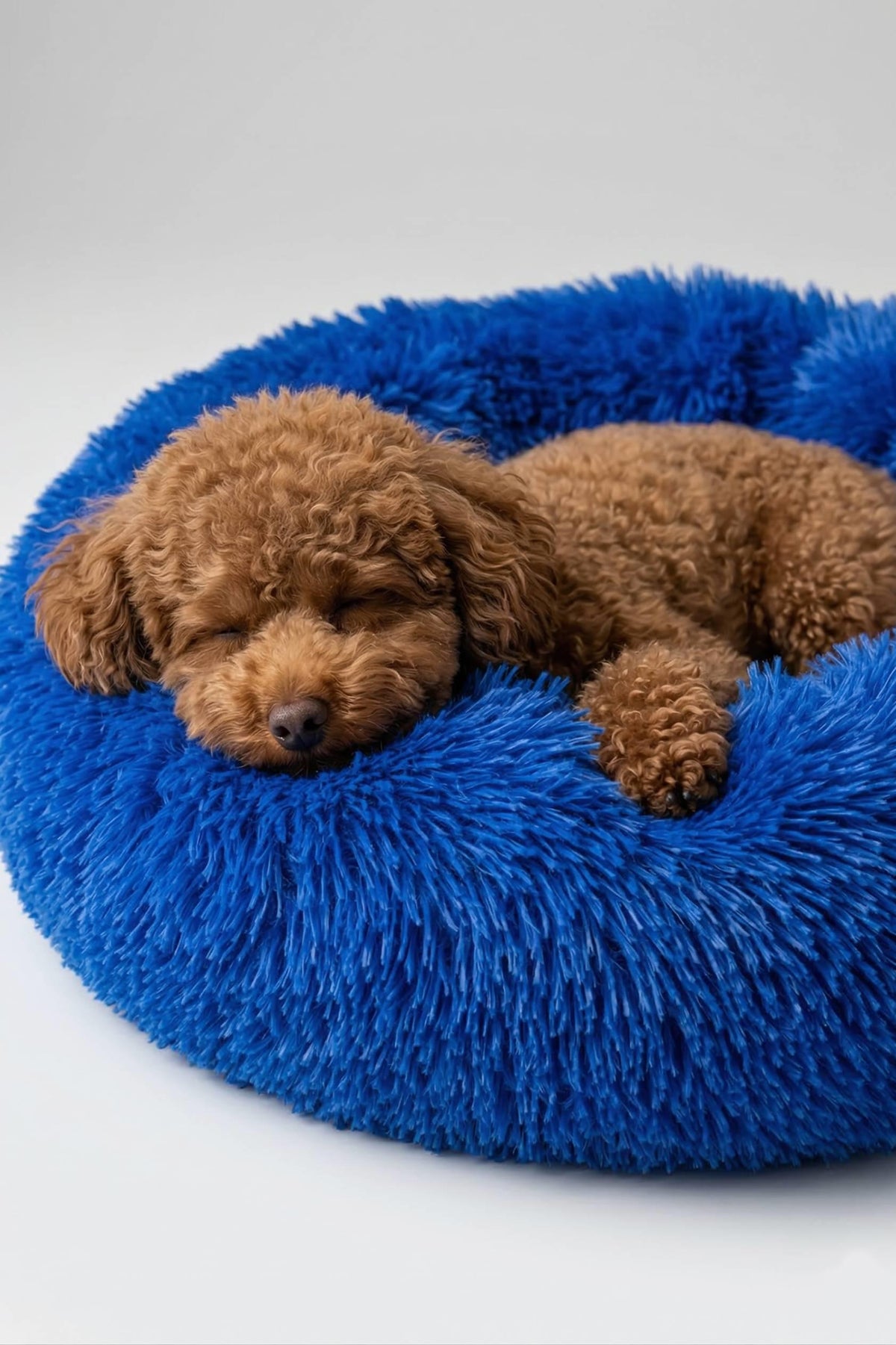 BNTMKT-0012-BL Uzun Kürklü Donut Kedi&Köpek Yatağı Mavi 45 CM