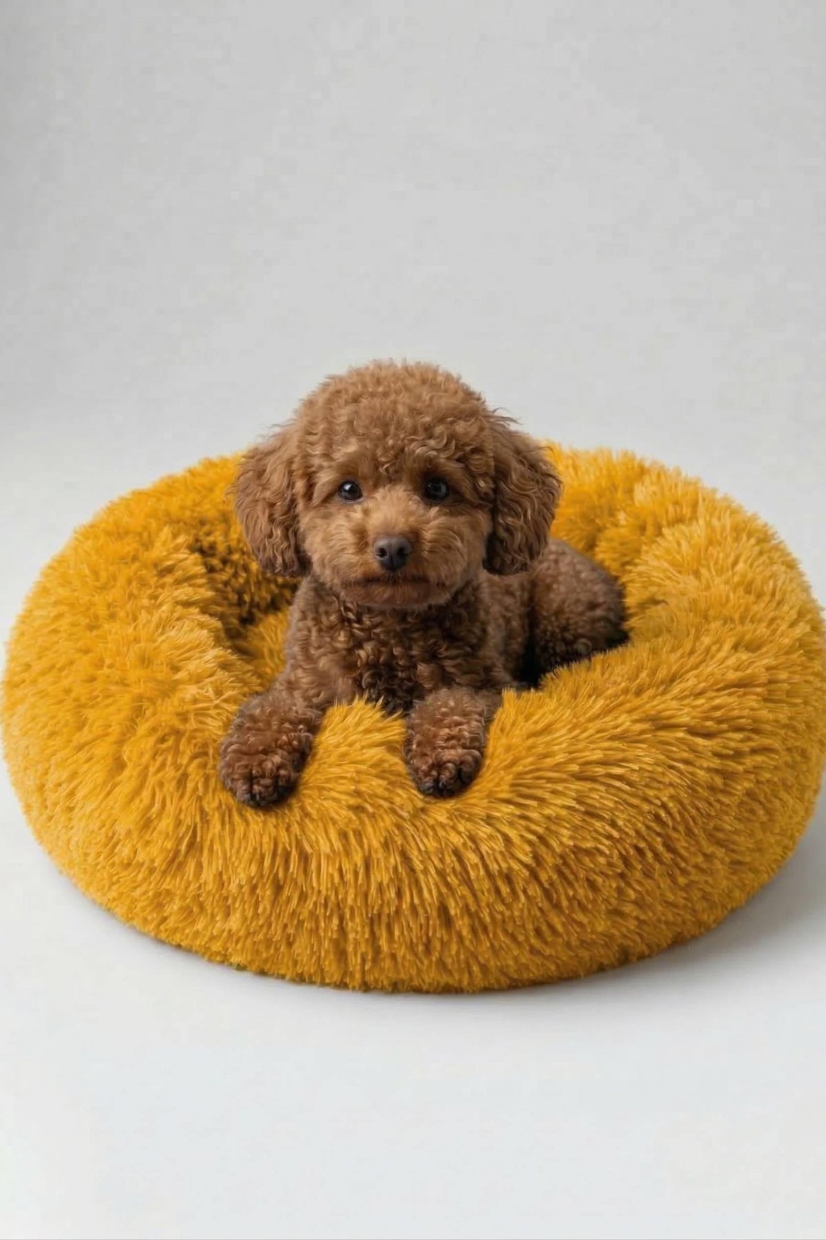 BNTMKT-0012-OR Uzun Kürklü Donut Kedi&Köpek Yatağı Turuncu 55 CM