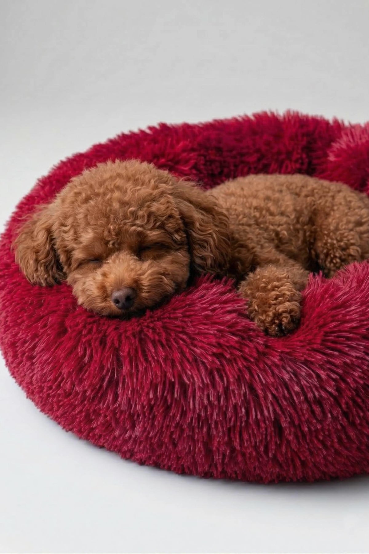 BNTMKT-0012-RD Uzun Kürklü Donut Kedi&Köpek Yatağı Kırmızı 55 CM