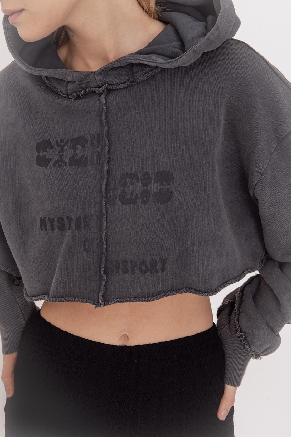 Hooded Printed Crop Sweatshirt